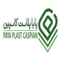 لوگوی پایا پلاست کاسپین